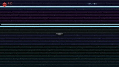周末随拍记录 - 花蝴蝶免费视频直播 原创视频